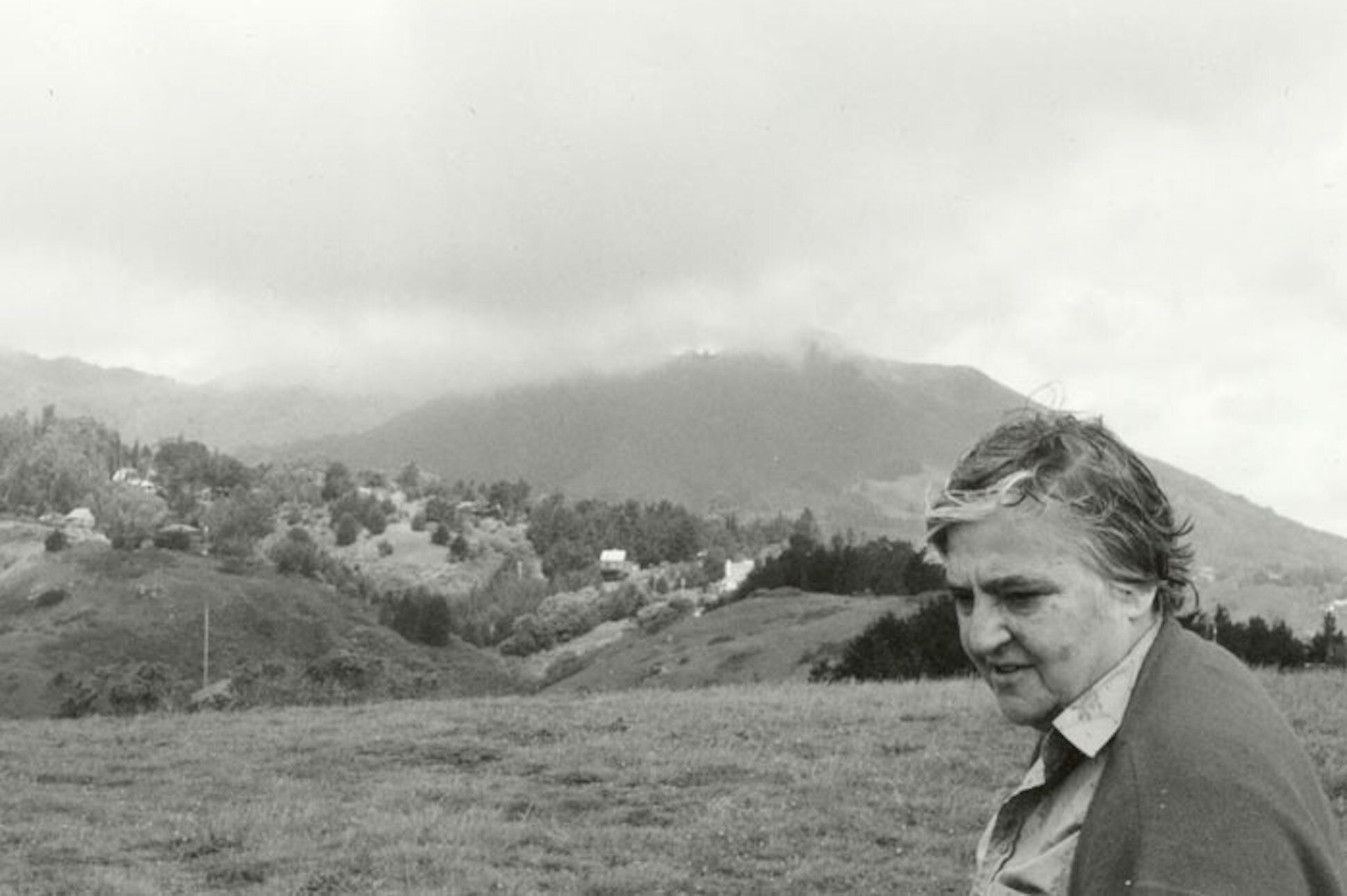 Etel Adnan 4ever
